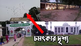 বিশ্ব জাকের মঞ্জীল সন্ধ্যার দৃশ্য দেখুন। [upl. by Woodring]