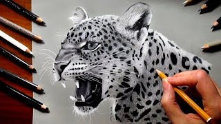 Pencil Drawing of a Leopard  Speed Draw  Jasmina Susak [upl. by Oguh]