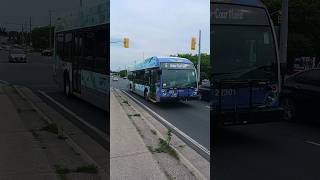 I FINALLY SAW A GRT LFSE  Grand River Transit 2023 NovaBus LFSe 22301 shorts bus grt transit [upl. by Gerald803]