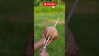 Arch hacks of coconut arch archery hacks archhacks coconut hackcoconut shorts viral [upl. by Pasco598]