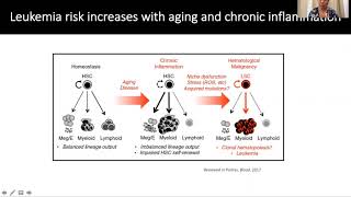 Sphingosine1phosphate signaling modulation for the treatment of acute myeloid leukemia AML [upl. by Aseen916]