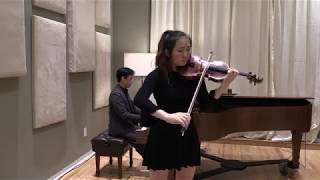 Brahms Violin Concerto  Movement II [upl. by Hekker]