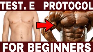 Testosterone Enanthate Cycle For Beginners  Lenght  Syringe  Frequency  w Dr Tony Huge [upl. by Illek]