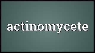 Actinomycete Meaning [upl. by Ahsieyn]