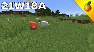 Minecraft News 21w18a Super Aggressive Goats [upl. by Sorips]