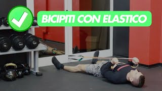 Bicipiti Curl Supino con Elastico  Allenamento in casa [upl. by Harbison156]