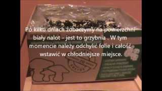 Pieczarka  Instrukcja uprawy pieczarki  goto podłoże firmy PLANTO [upl. by Deelaw]