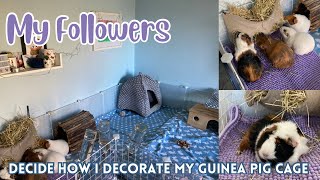 My Followers Decide how I Decorate my Guinea Pig Cage💕 [upl. by Nika]