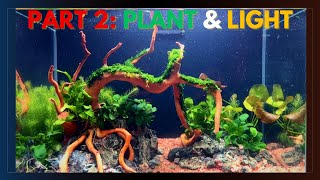 How to Arrange Fresh Driftwood and Green Lava Rocks for a Stunning Aquascape  Part 2 Planted [upl. by Ahsram]