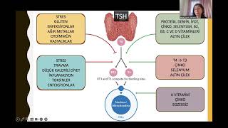 Tiroid bezi ve sağlığı [upl. by Nevarc]