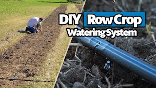 How to Install a Drip Tape Irrigation System for Row Crops Complete DIY Guide [upl. by Ylrebmek]