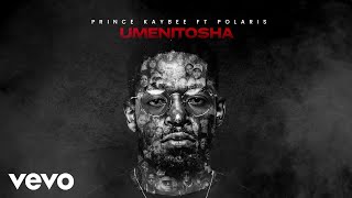 Prince Kaybee  Umenitosha Visualizer ft Polaris [upl. by Aryc703]