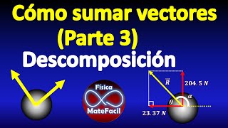 03 Descomposición de vectores en sus componentes [upl. by Brigette387]