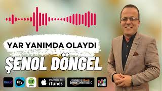 Hep Damar Full Damar Elektro Bağlamalı Arabesk quot Şenol Döngel  Yar Yanımda Olaydı quot [upl. by Weir830]