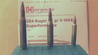 HampR 204 Ruger coupled with Hornady Ammo [upl. by Nnylireg970]