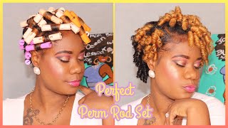 Perfect Perm Rod Set on Short Natural 4b 4c Hair  Beginner Friendly [upl. by Teplitz]