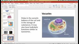 IB Biology B22 Organelles and compartmentalisation first exams in 2025 [upl. by Seuqcaj]