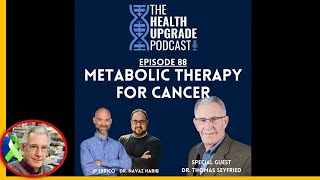 How to use ketogenic Metabolic Therapy for Cancer  featuring Dr Thomas Seyfried [upl. by Hsemin571]