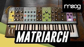 MOOG Matriarch Analog Synth Demo [upl. by Ahsian]