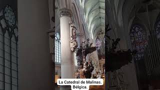 LA CATEDRAL DE MALINAS Bélgica [upl. by Philine22]