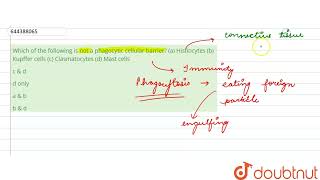 Which of the following is not a phagocytic cellular barrier a Histiocytes b Kupffer cells [upl. by Yznil]