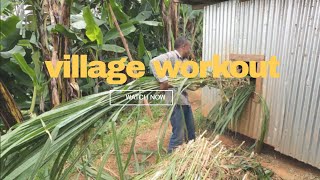 dairy farming in Kenya how we cut Napier grass using chaff cutter [upl. by Delacourt]