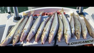 WESTERN PORT WHITING FISHING [upl. by Sydel357]