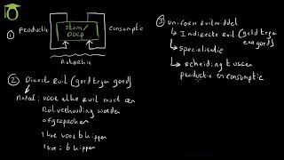 Ontstaan van ruil en specialisatie  economie uitleg [upl. by Tien]