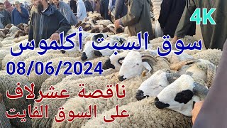 مباشرة من سوق السبت أكلموس أثمنة الغنم والماعز اليوم 08062024 [upl. by Oahc]