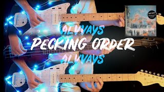 Pecking Order  Guitar  Bass Cover  Alvvays [upl. by Euqininod]