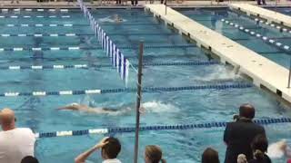 2019 State Swim Meet [upl. by Waers655]