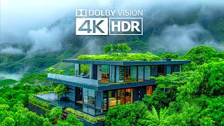 4K Video ULTRA HD  Best of 4K HDR Dolby Vision [upl. by Llerrom780]