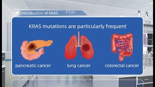 Human Cancer TargetTargeted Drugs RampD ServicesIntroduction of KRAS [upl. by Leund989]