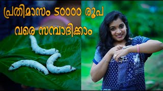 SILK WORM FARMING MALAYALAM  SERICULTURE KERALA beauty village [upl. by Labors]