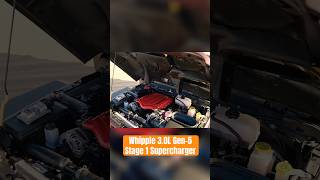 Why we put a 30L Whipple supercharger in our 392 Jeep Wrangler… [upl. by Munson234]