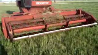 Hesston Mower Conditioner Swather [upl. by Drandell]