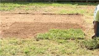 Grass amp Lawn Care  Zoysia Grass Planting Tips [upl. by Anitsuga322]