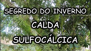 Calda Sulfocálcica – Segredo do Inverno [upl. by Adolpho]