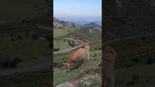 LAGOS DE COVADONGA [upl. by Nirmak]