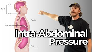 Intra Abdominal Pressure Is Not About Maximising Air Intake [upl. by Reste447]