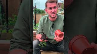 Potting on Softwood cuttings and taking Hardwood cuttings growyourown nature propagation [upl. by Eva]