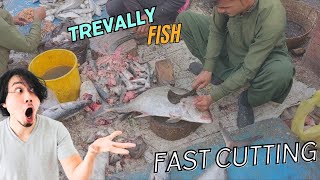 Big Trevally Fish cutting fishing india fish youtube trending [upl. by Pohsib958]