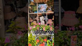 GREEN LANE COURTYARD POTTING SHED amp ORANGERY 4K 22 bowra greenlane orangery [upl. by Dixil]