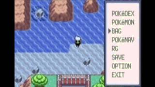 Pokemon RubySapphireEmerald  Where to catch Pokemon 320 Wailmer [upl. by Imailiv736]