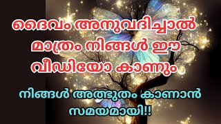 നിങ്ങൾ ആത്ഭുതം കാണാൻ സമയമായി😲Sudden miracles✨️AngelmessageTimeless [upl. by Uttasta636]