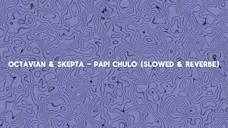 Octavian amp Skepta  Papi Chulo Slowed amp Reverbe [upl. by Ahmar]