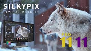 「SILKYPIX Developer Studio Pro1111」プロモーションムービー [upl. by Atsocal991]