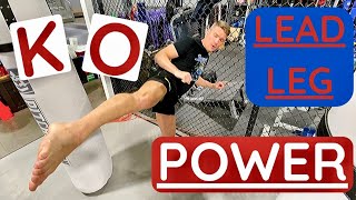 Develop REAL POWER In Your LEAD LEG Kicks  Stephen Wonderboy Thompson [upl. by Marchese]