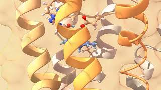 Inside the Odorant Binding Chamber Part II [upl. by Frederich]