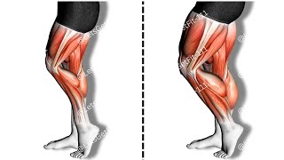 Top Ten Leg Day Exercises For Bigger Stonger Legs [upl. by Waverly272]